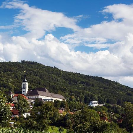 Oeko Feriendorf Schlierbach エクステリア 写真